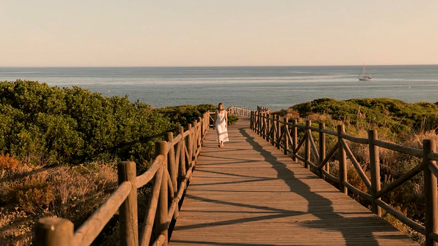 Miniatura Video presentacion